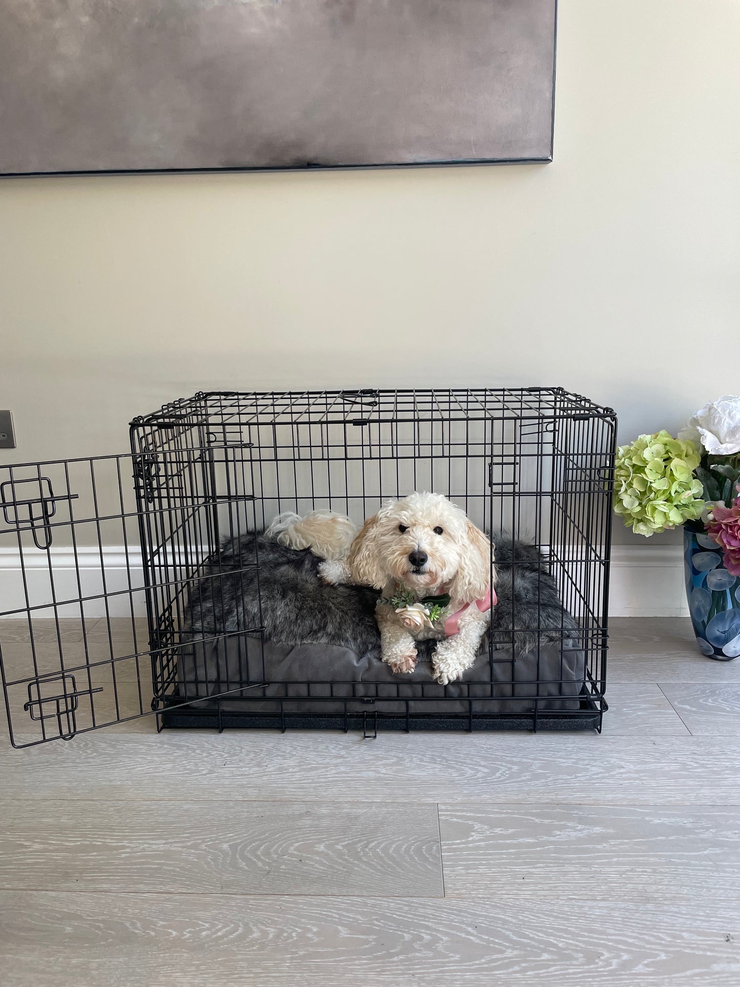 Choosing The Right Dog Crate & Where To Position It