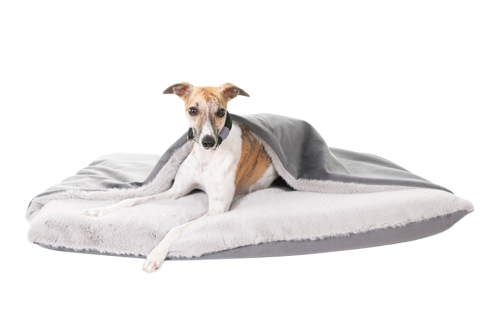 Best Beds For Hounds