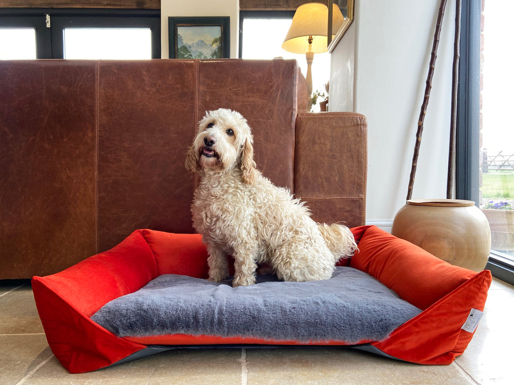 The Little Nap Orthopaedic Luxury Dog Beds