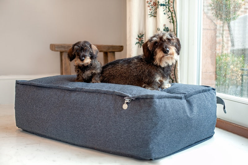 Lincoln As Nice As Pie Luxury Memory Foam Dog Bed Collection