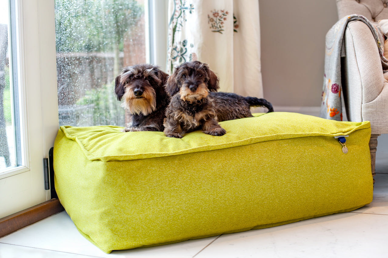 Lincoln As Nice As Pie Luxury Memory Foam Dog Bed Collection
