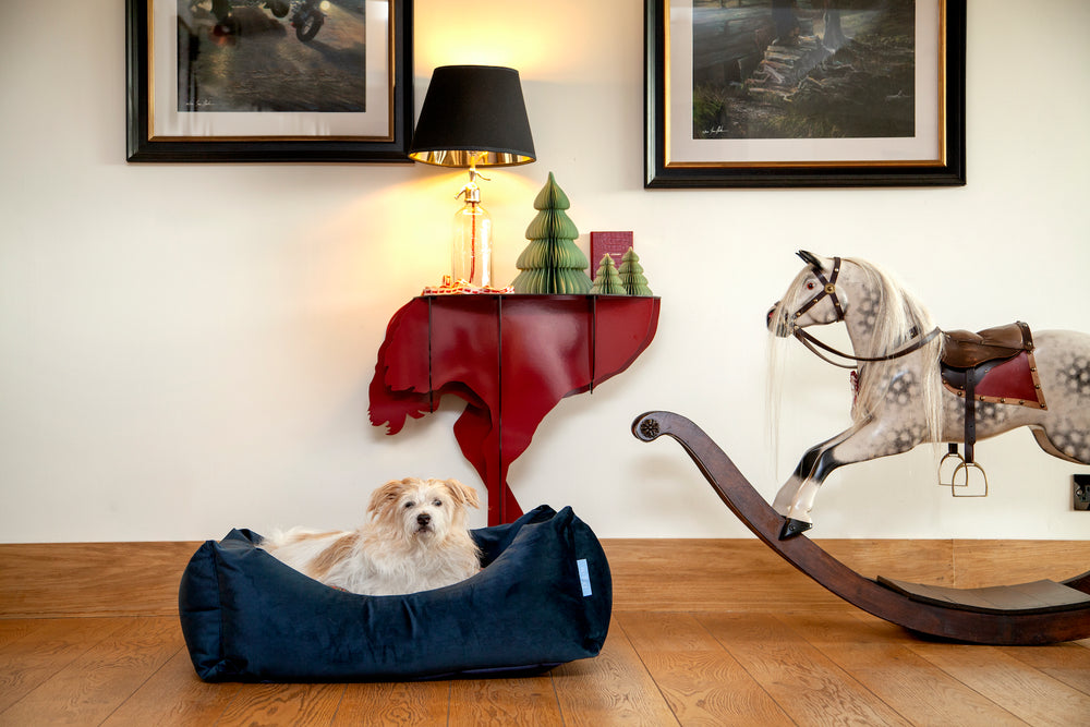 
                  
                    Sissinghurst Snoozeworthy Box Dog Bed
                  
                