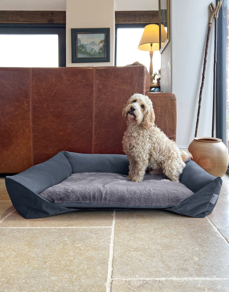 
                  
                    Nottinghill Little Nap Puppy Bed
                  
                
