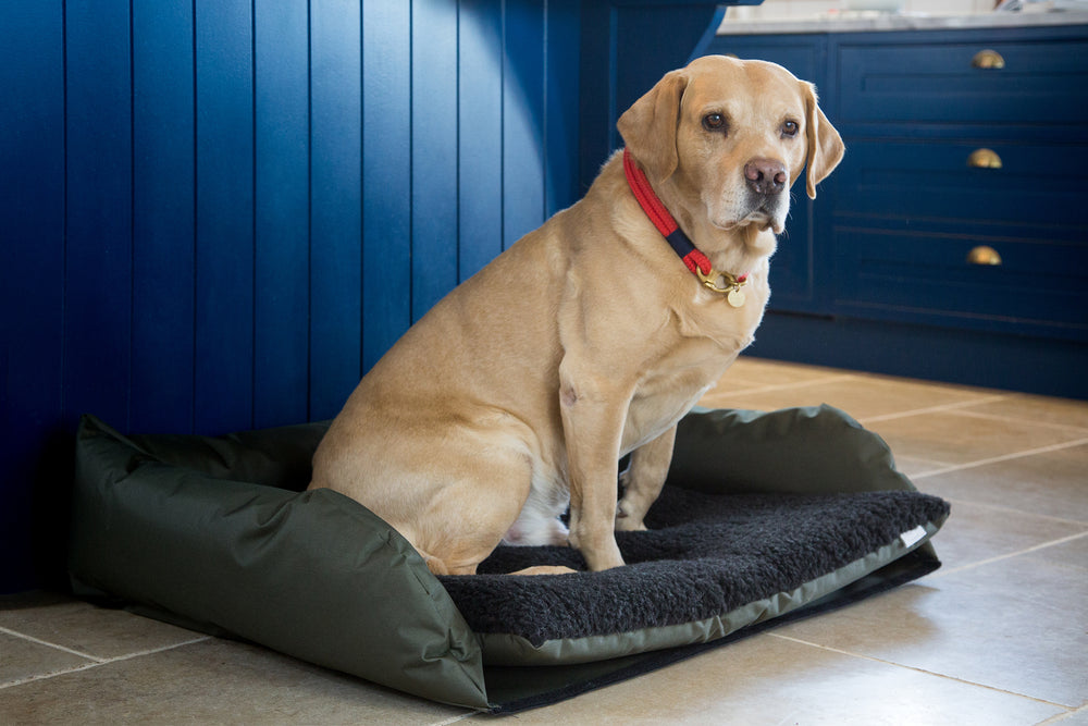 Coniston Waterproof Travel Dog Bed