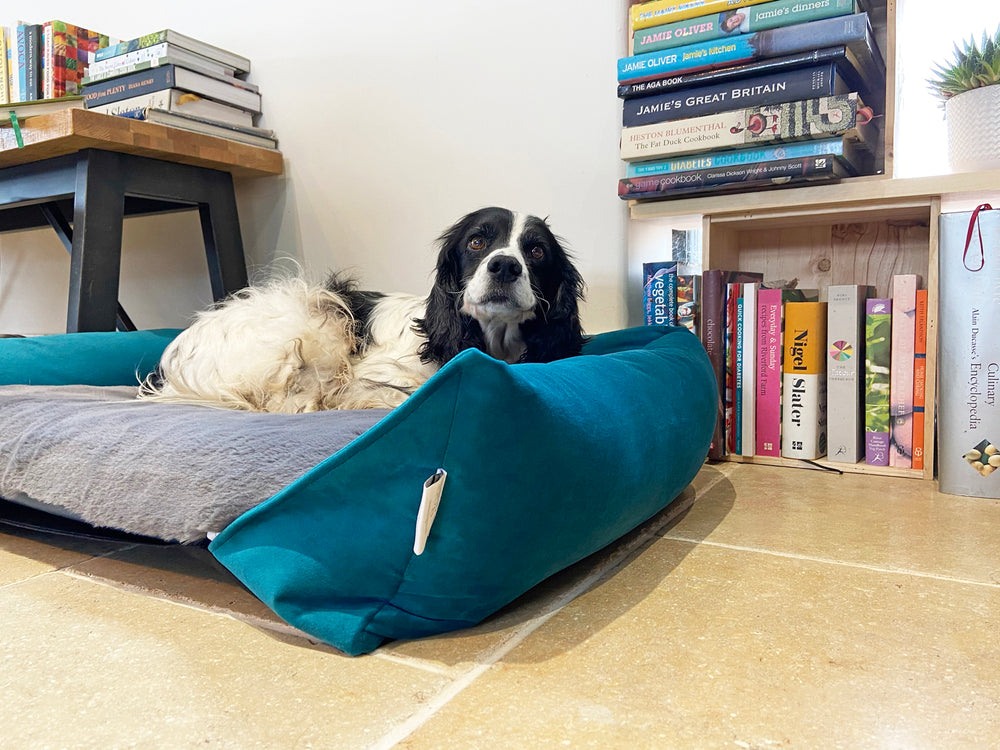 
                  
                    Hoxton Little Nap Dog Bed
                  
                