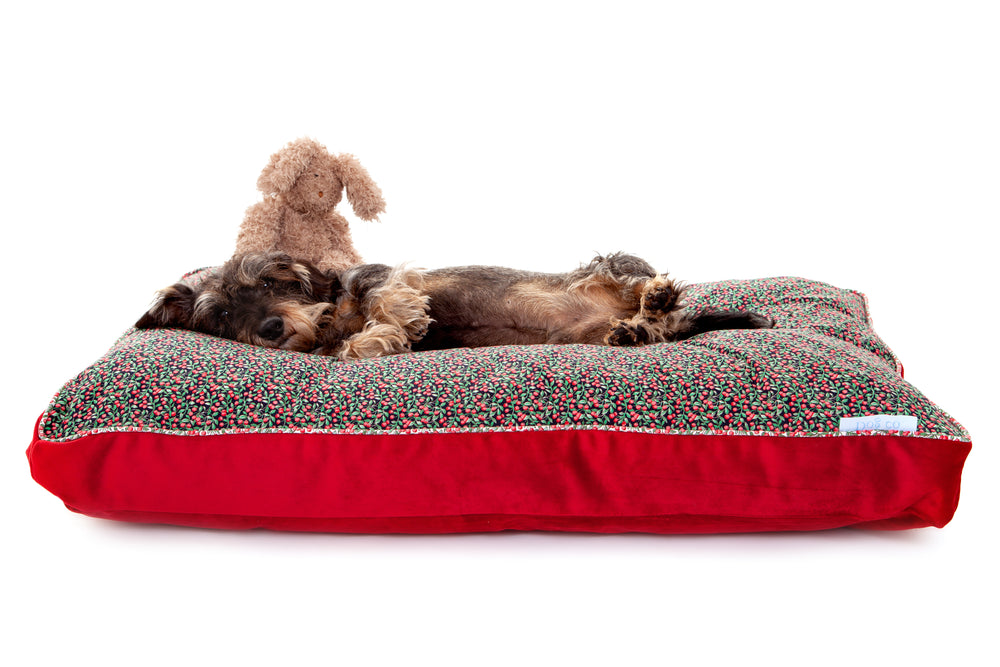 
                  
                    Doddington Truly Scrumptious Boxy Cushion Dog Bed
                  
                