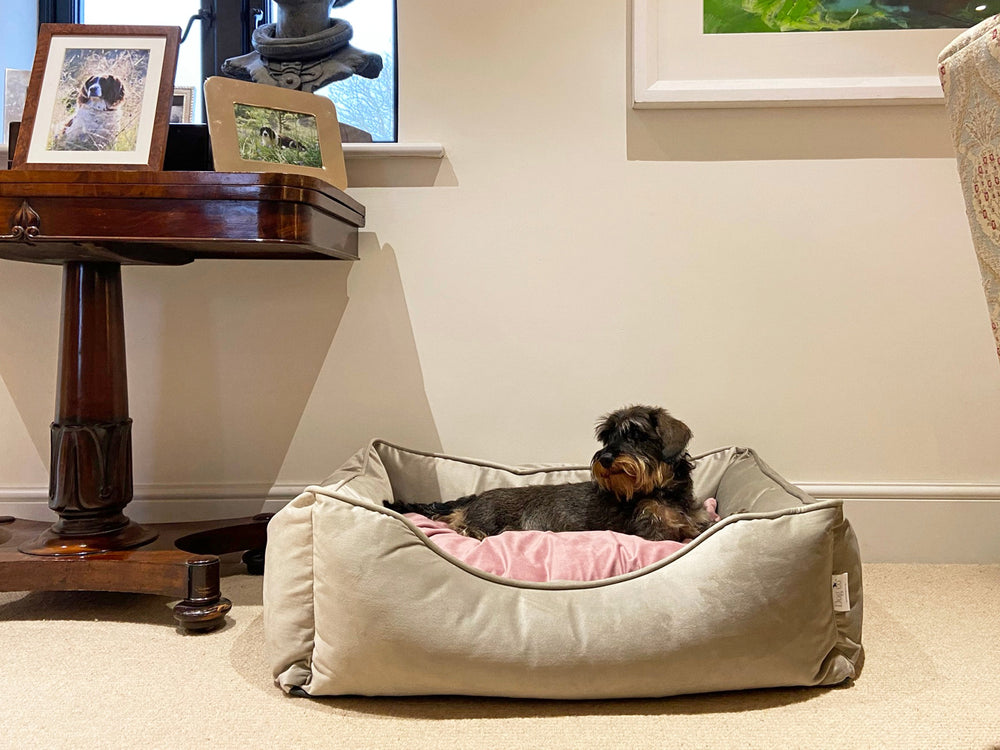 
                  
                    Bespoke Dog Beds By Hugo & Otto
                  
                