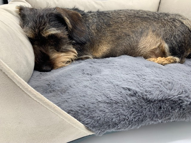 
                  
                    Westminster Little Nap Dog Bed
                  
                