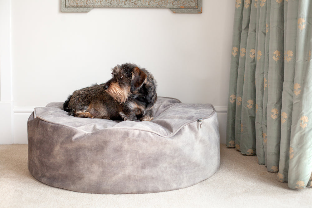 
                  
                    York Sitting Pretty Luxury Memory Foam Dog Bed - Silvered Grey
                  
                