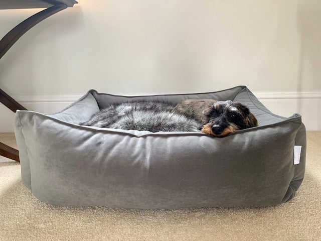 Otto Bolster Dog Bed