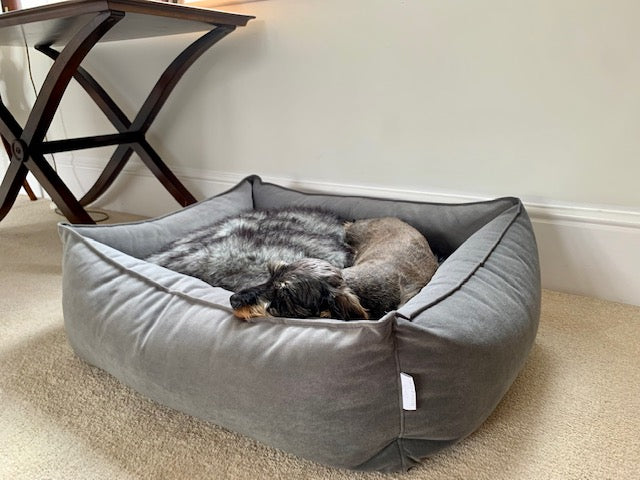 Otto Bolster Dog Bed