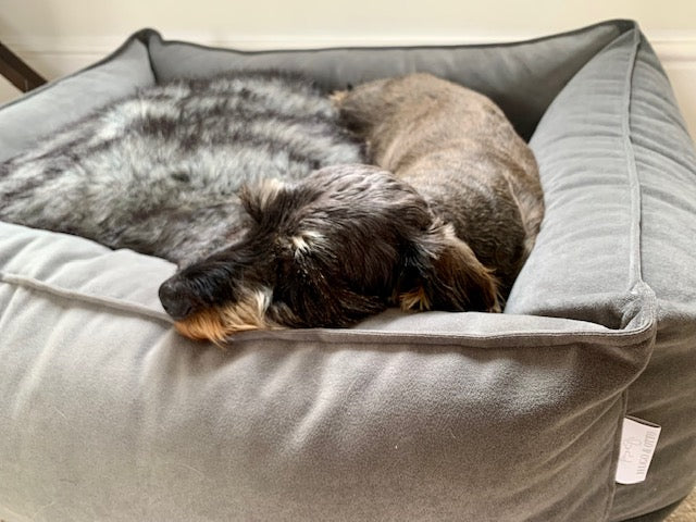 Otto Bolster Dog Bed