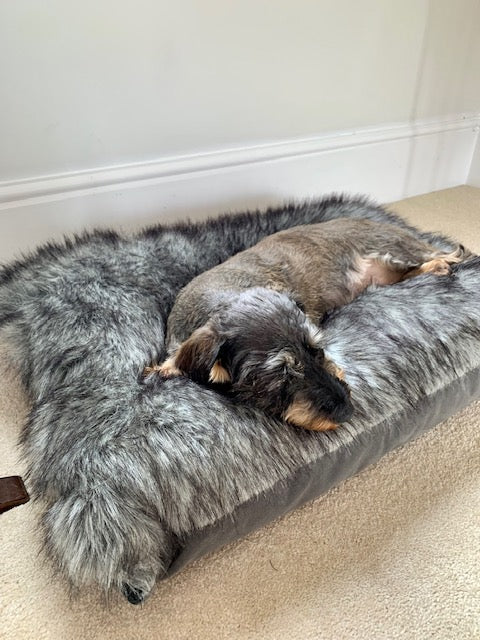 
                  
                    Otto Luxury Dog Pillow Cushion
                  
                