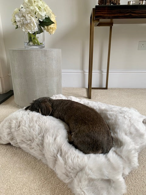 
                  
                    Burford Luxury Pillow Dog Cushion
                  
                