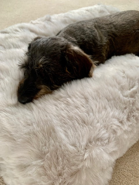 
                  
                    Burford Luxury Pillow Dog Cushion
                  
                