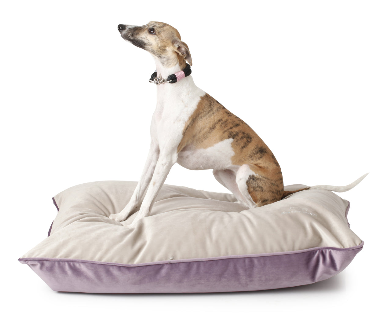 
                  
                    Louis Luxury Velvet Pillow Dog Cushion - Scottish Heather & Mole
                  
                