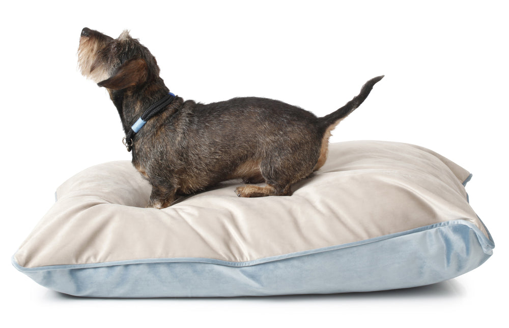 
                  
                    Louis Luxury Pillow Dog Cushion - Swedish Blue
                  
                