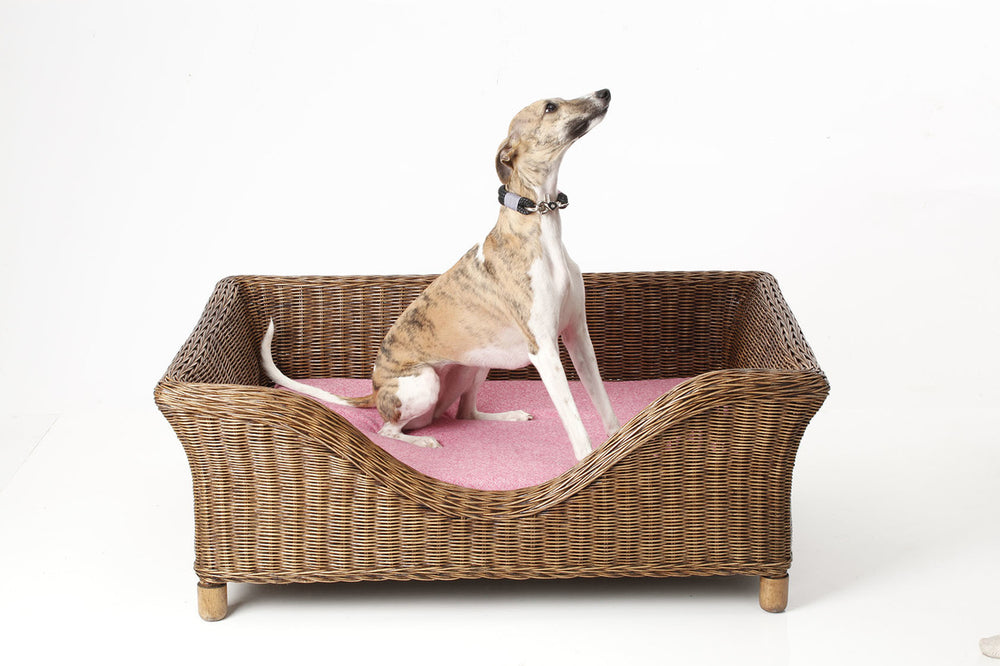 
                  
                    Portreath Raised Rattan Dog Bed  -  Natural
                  
                
