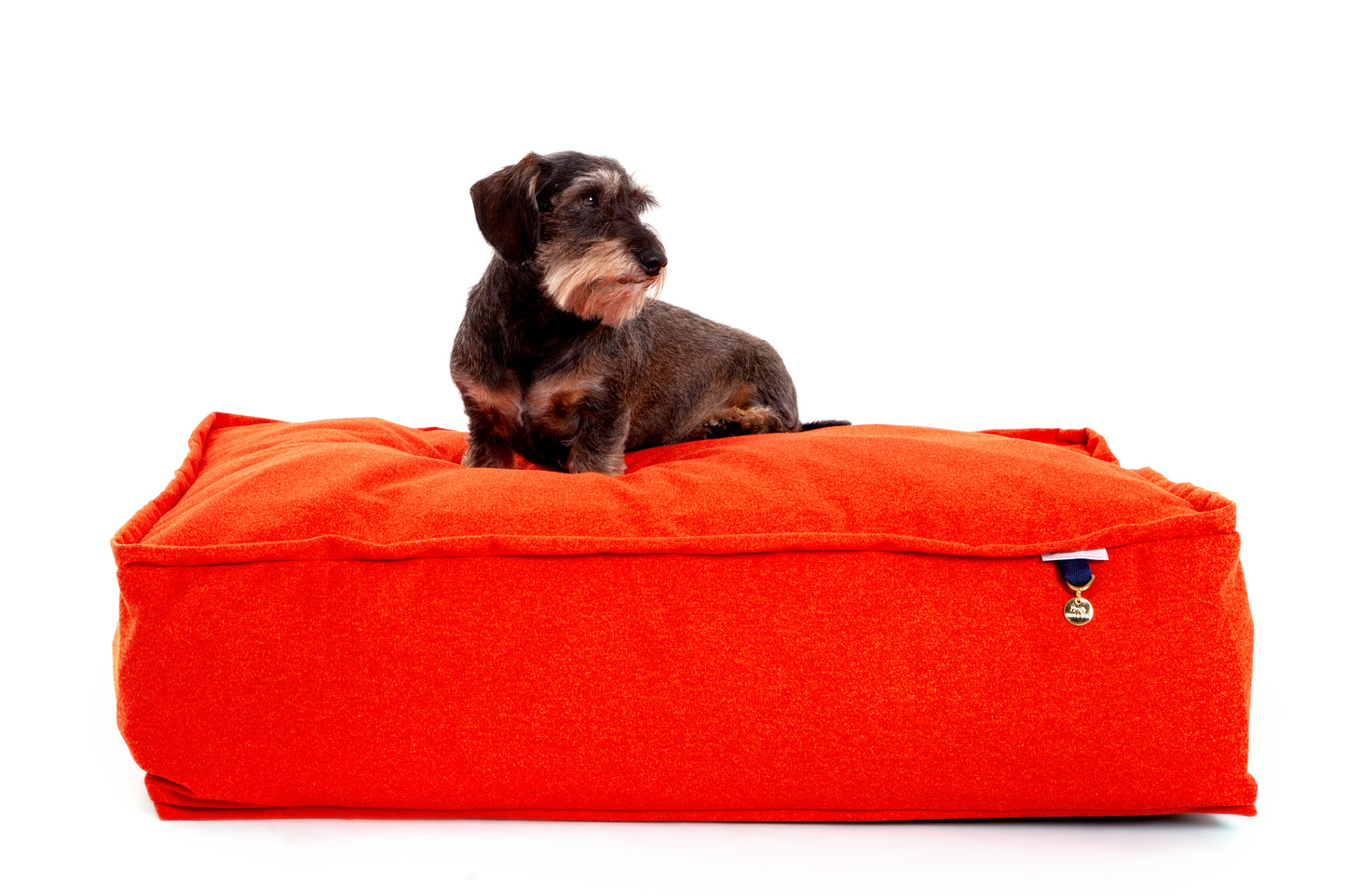 
                  
                    Lincoln As Nice As Pie Luxury Memory Foam Dog Bed - Marmalade
                  
                