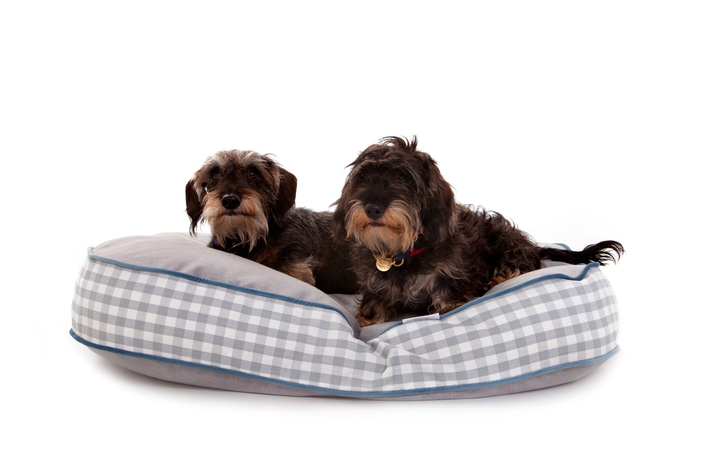 
                  
                    Sarsden Oval Dog Cushion
                  
                