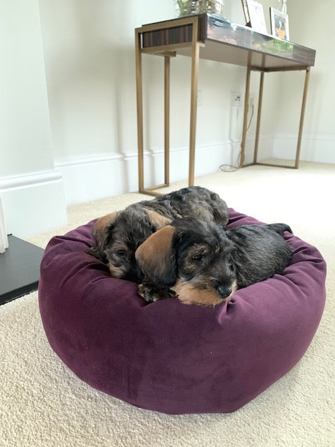 
                  
                    Vail Donut Puppy Bed
                  
                