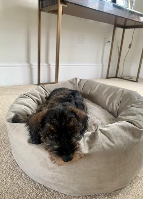 Mont Blanc Donut Dog Bed