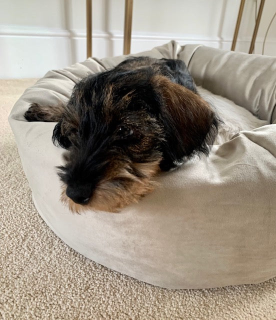 Luxury donut best sale dog beds