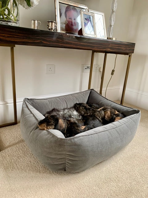 Otto Bolster Dog Bed