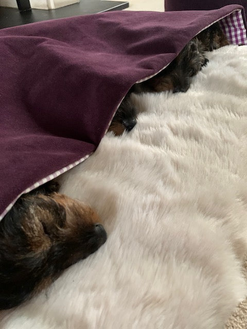 
                  
                    Zermatt Snuggle Dog Bed
                  
                